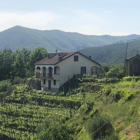 Villa Elena Mezzanego 외부 사진