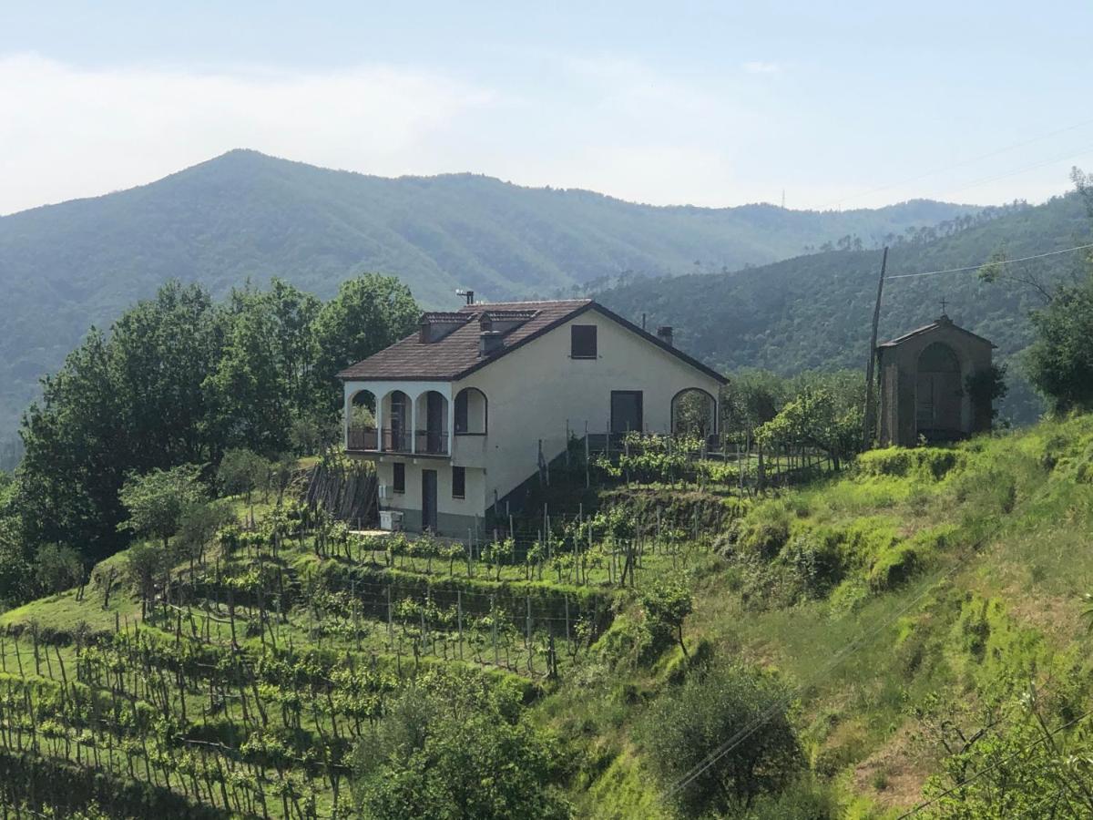 Villa Elena Mezzanego 외부 사진