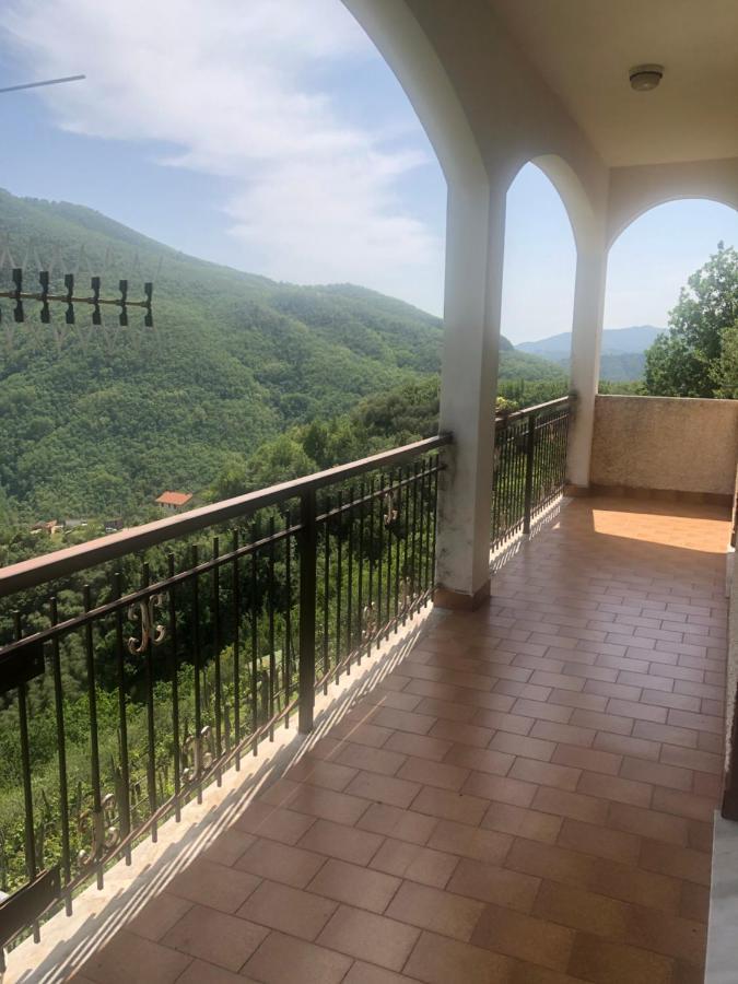 Villa Elena Mezzanego 외부 사진