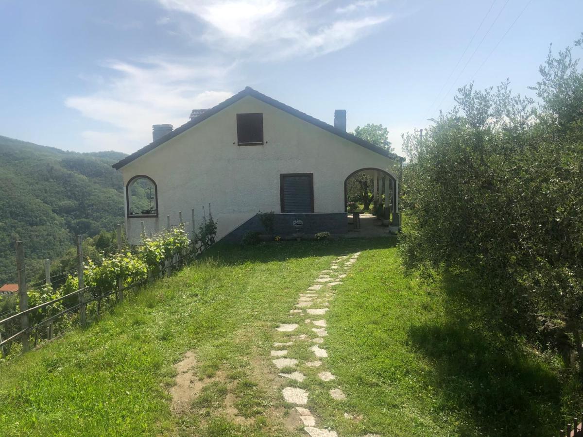 Villa Elena Mezzanego 외부 사진