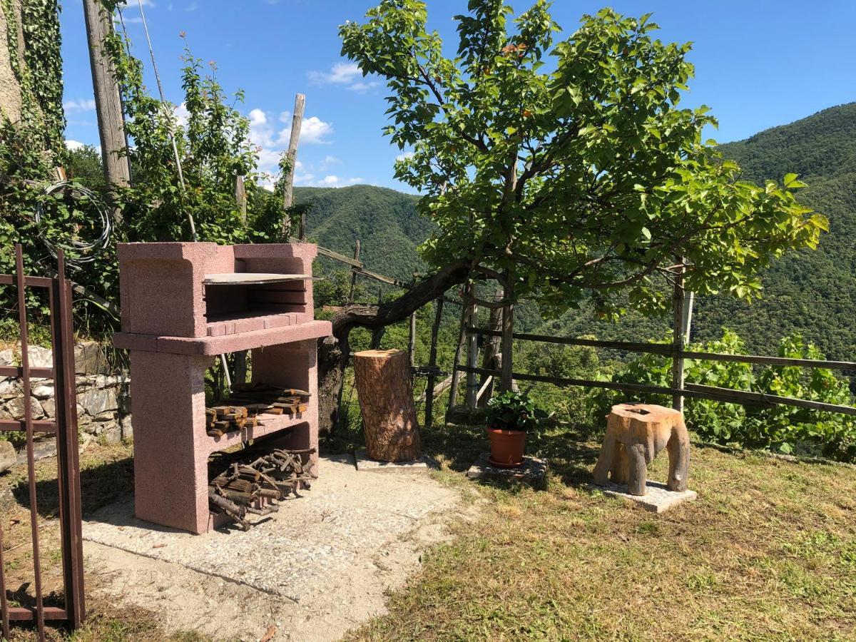 Villa Elena Mezzanego 외부 사진