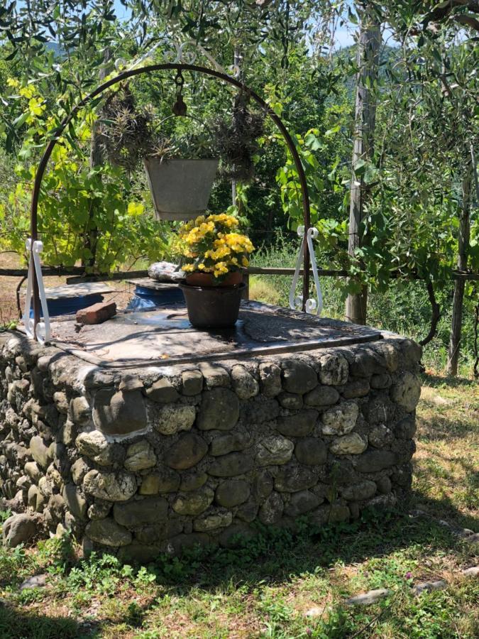 Villa Elena Mezzanego 외부 사진