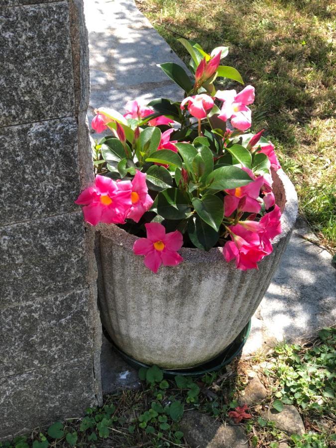 Villa Elena Mezzanego 외부 사진
