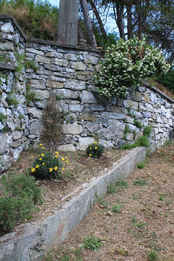 Villa Elena Mezzanego 외부 사진