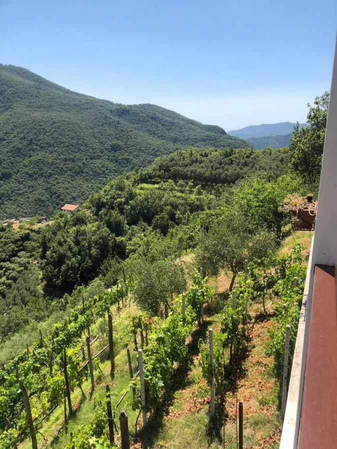Villa Elena Mezzanego 외부 사진