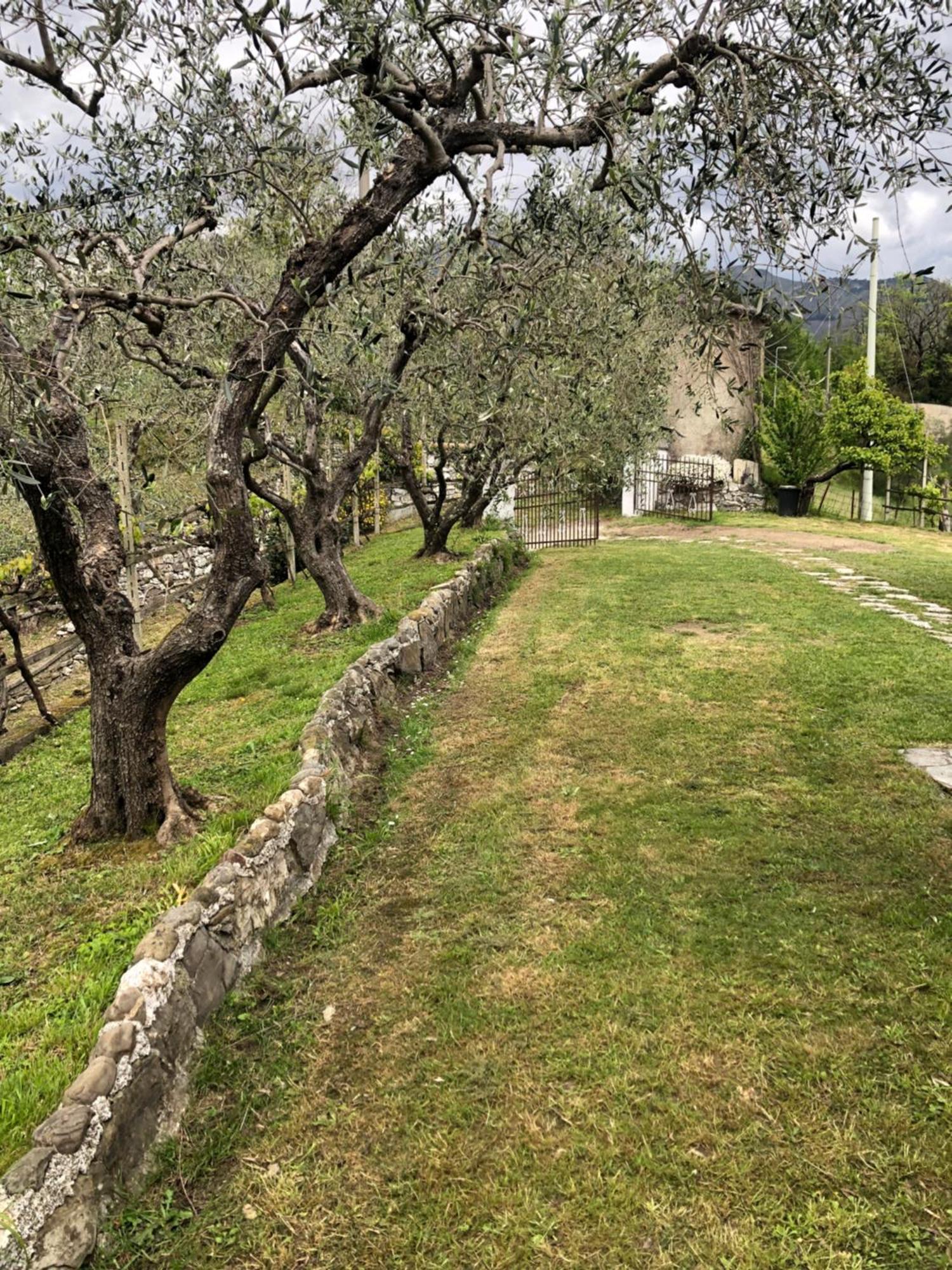 Villa Elena Mezzanego 외부 사진